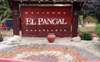 Protegido: Hacienda El Pangal Informa – Agosto 2022